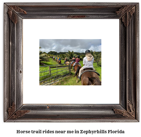 horse trail rides near me in Zephyrhills, Florida